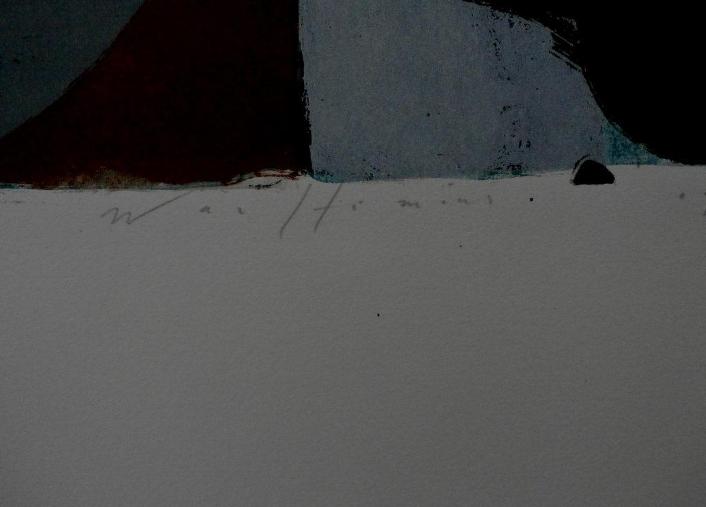 Piet Warffemius -litho: Zon en schaduw - 1993 kopen? Bied vanaf 75!