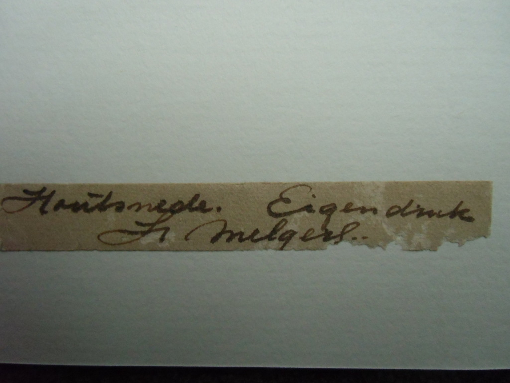 OUDE STAD   ///   HOUTSNEDE VAN HENK MELGERS kopen? Bied vanaf 140!