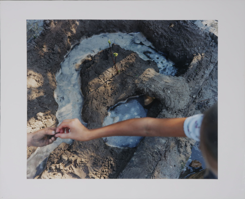 Onbekende kunstenaar: 3x Foto op kunststof, Z.T. kopen? Bied vanaf 1!