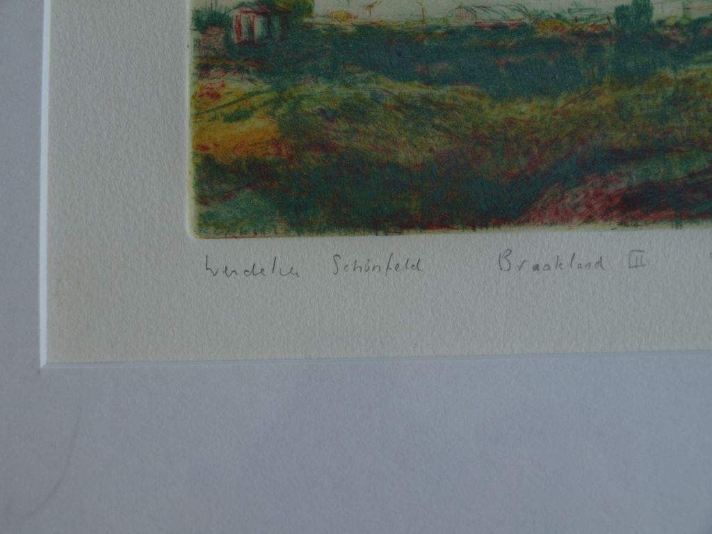 Wendelien Schönfeld : Kleurenets –Braakland III – gesigneerd & ingelijst - 1978  kopen? Bied vanaf 1!