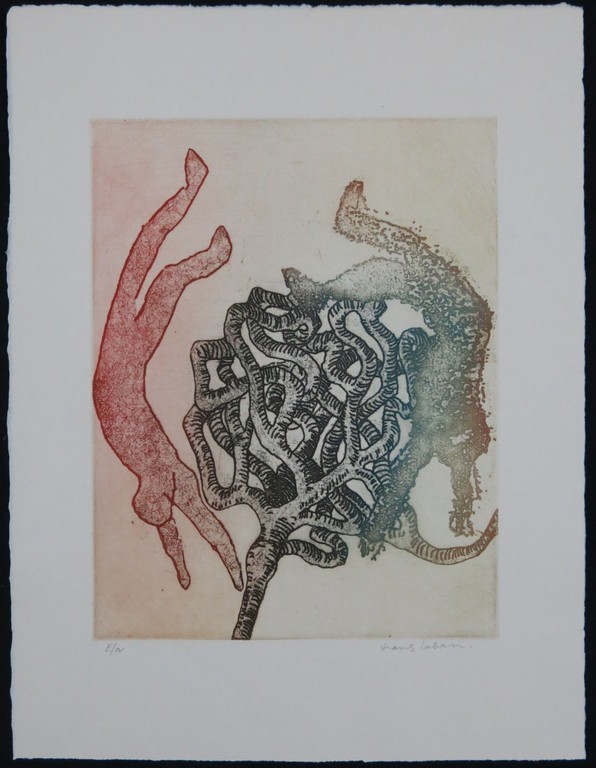 Hans Laban: Kleurenets, De val  kopen? Bied vanaf 1!