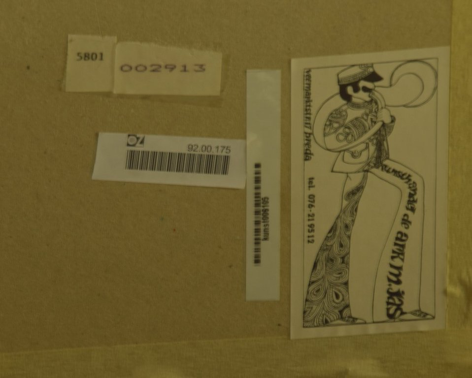 Gerard 't Hart - Zeefdruk met Acrylverf op papier - Landschap groen kopen? Bied vanaf 10!