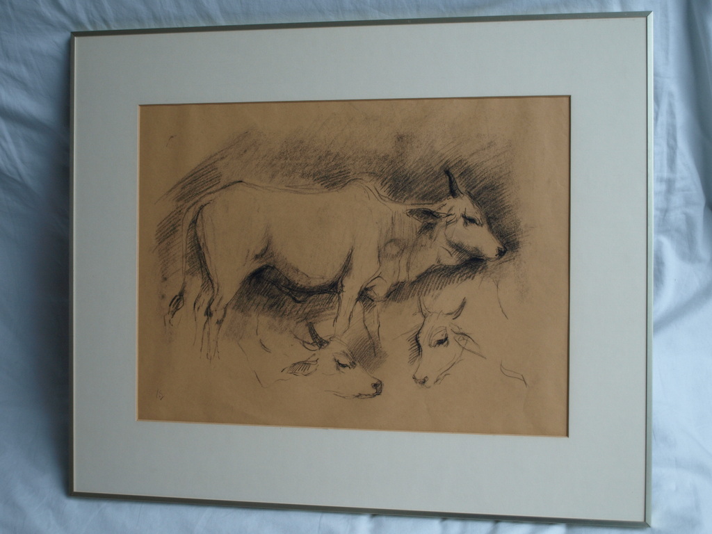 Jan Groenestein : Tekening , Koeien – gesigneerd & ingelijst – ca 1960 kopen? Bied vanaf 50!