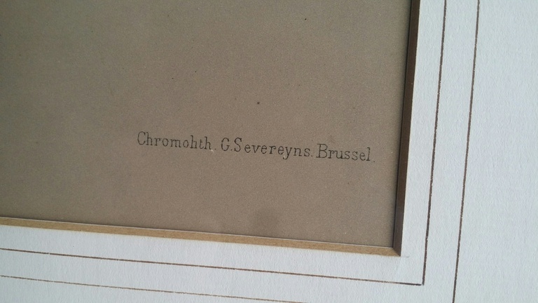 Arentina Arendsen, Kleurenlitho, Lelies / Lilium kopen? Bied vanaf 1!