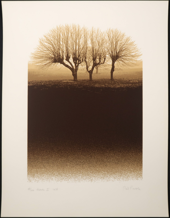 Piet Fioole: Zeefdruk, Aarde II kopen? Bied vanaf 35!