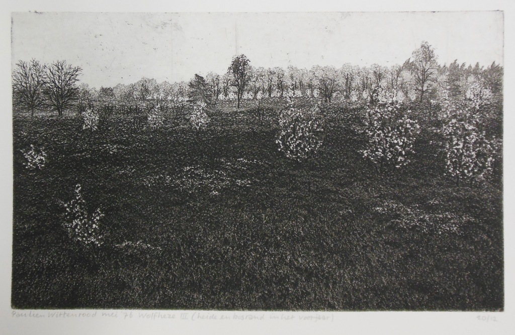 Paulien Wittenrood: Ets, Wolfheze II kopen? Bied vanaf 20!