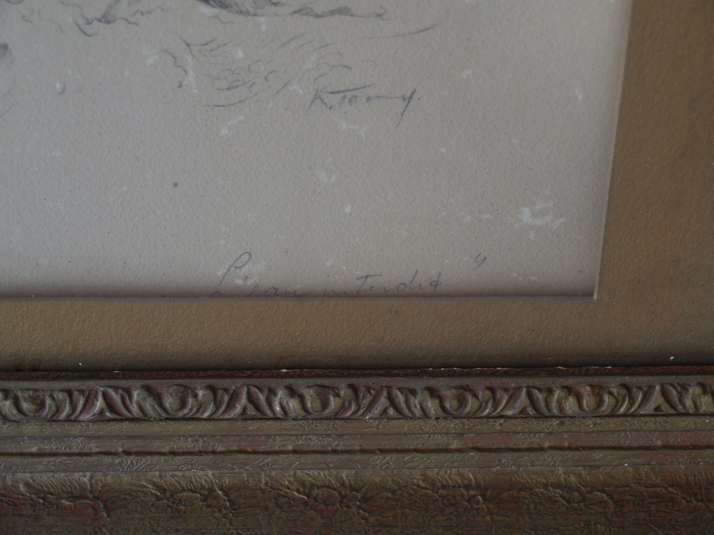 Onduidelijke signatuur : Litho – L’eau interdit / Verboden water – ingelijst  kopen? Bied vanaf 1!