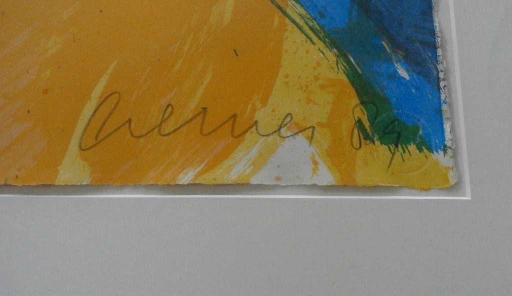 Jan Cremer - ingelijste zeefdruk: Karpaten - 1989 kopen? Bied vanaf 225!