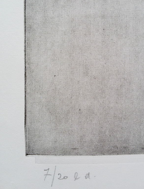 Anneke van der Mandele - In the air spirit, aquatint ets kopen? Bied vanaf 75!