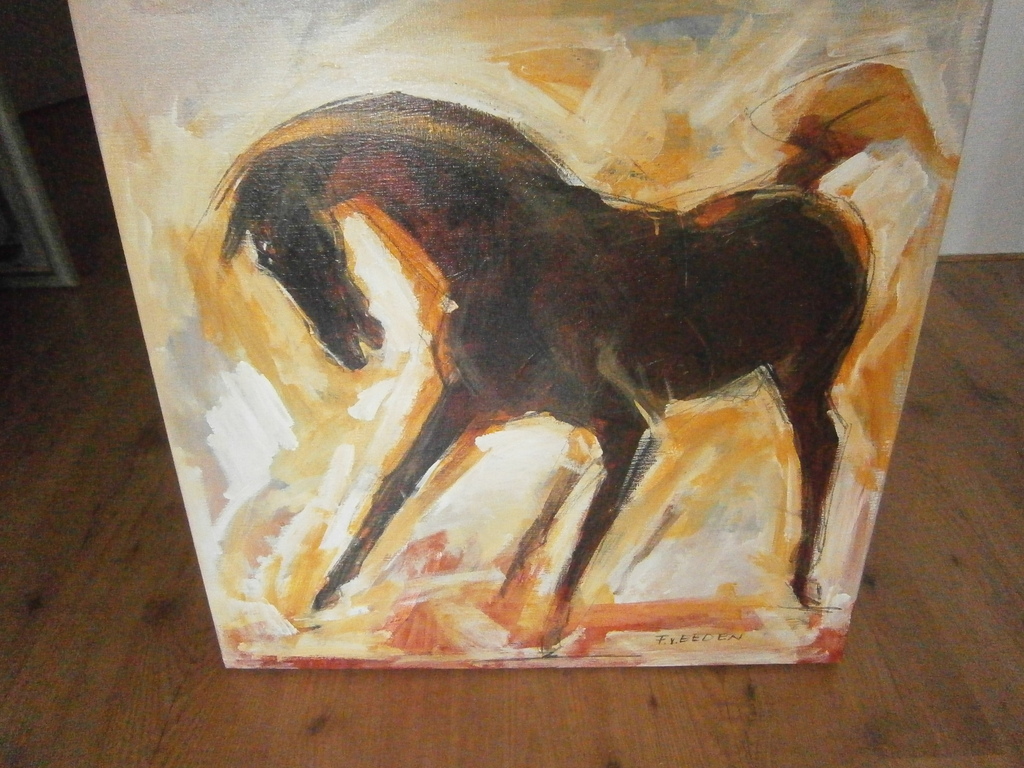 Twin Palaminos kopen? Bied vanaf 170!