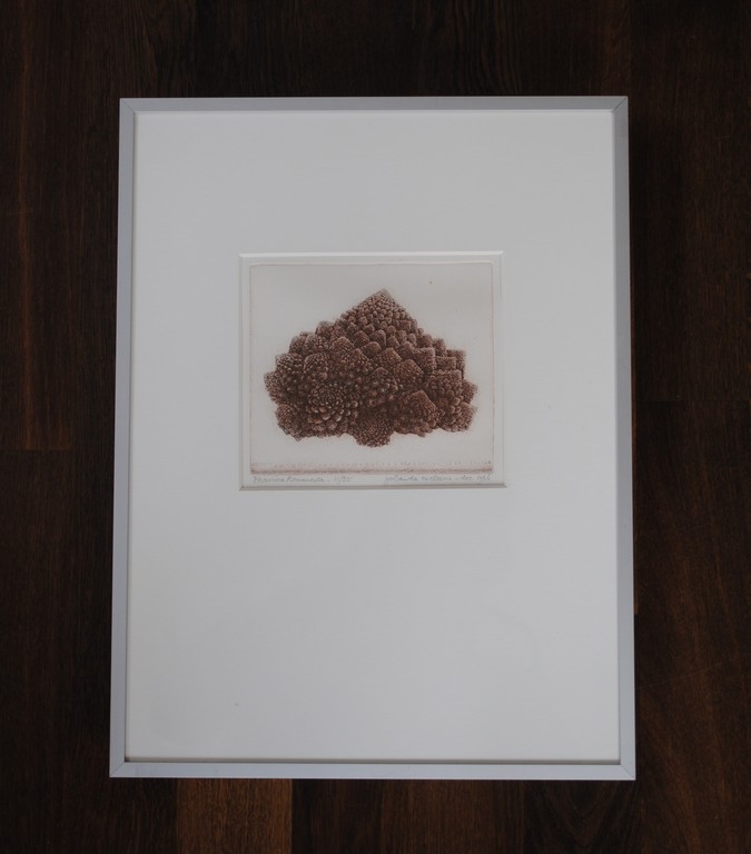 Yolanda Eveleens - ets - 'Brassica Romanesca' - dec. 1986 - 11/25 - ingelijst kopen? Bied vanaf 75!