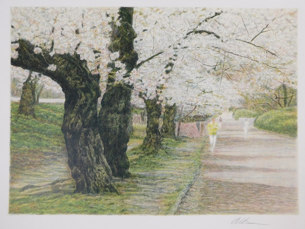 Harold Altman - Kleurenlitho - Blossom kopen? Bied vanaf 40!