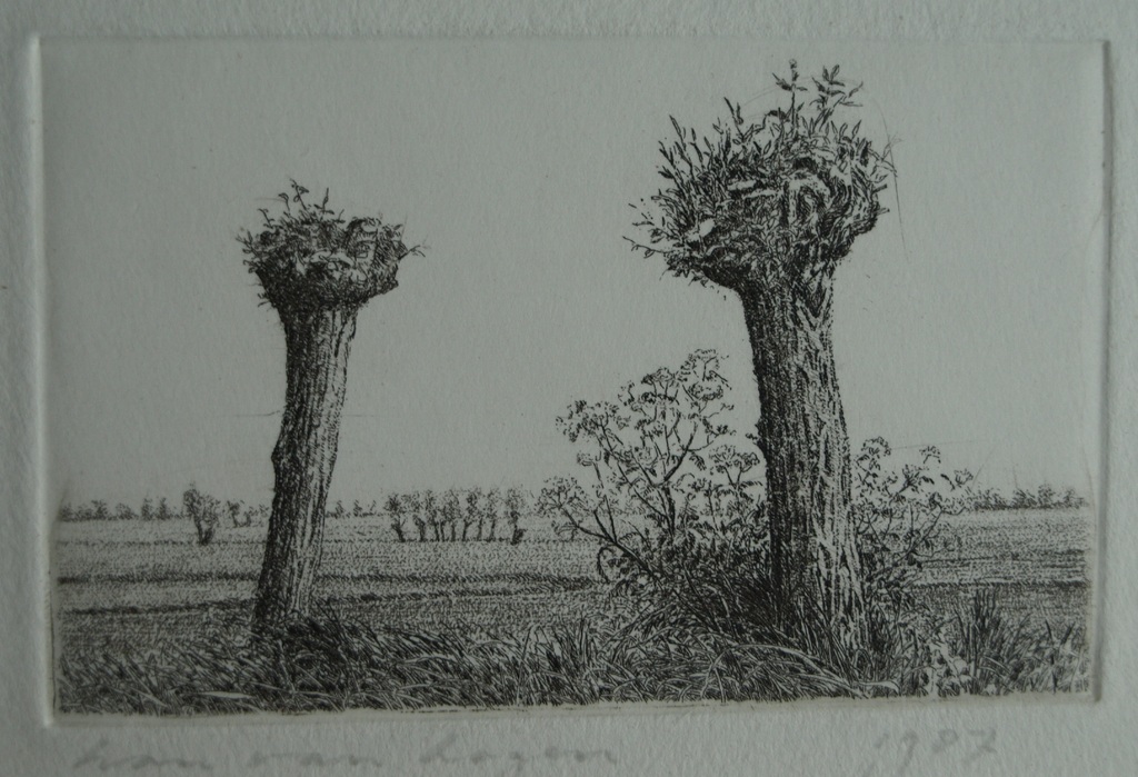 Han van Hagen (1944-) : Ets – Knotwilgen – gesigneerd – 1987 kopen? Bied vanaf 1!