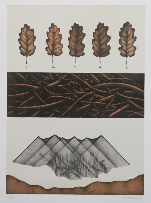 Ana Godel: Litho, Cahiers de Botanique kopen? Bied vanaf 1!