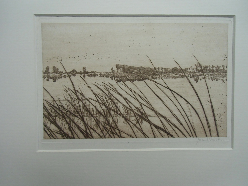 IN DE PLASSEN BIJ KORTENHOEF  ///  ETS VAN MAURITS VAN DER VALK kopen? Bied vanaf 30!