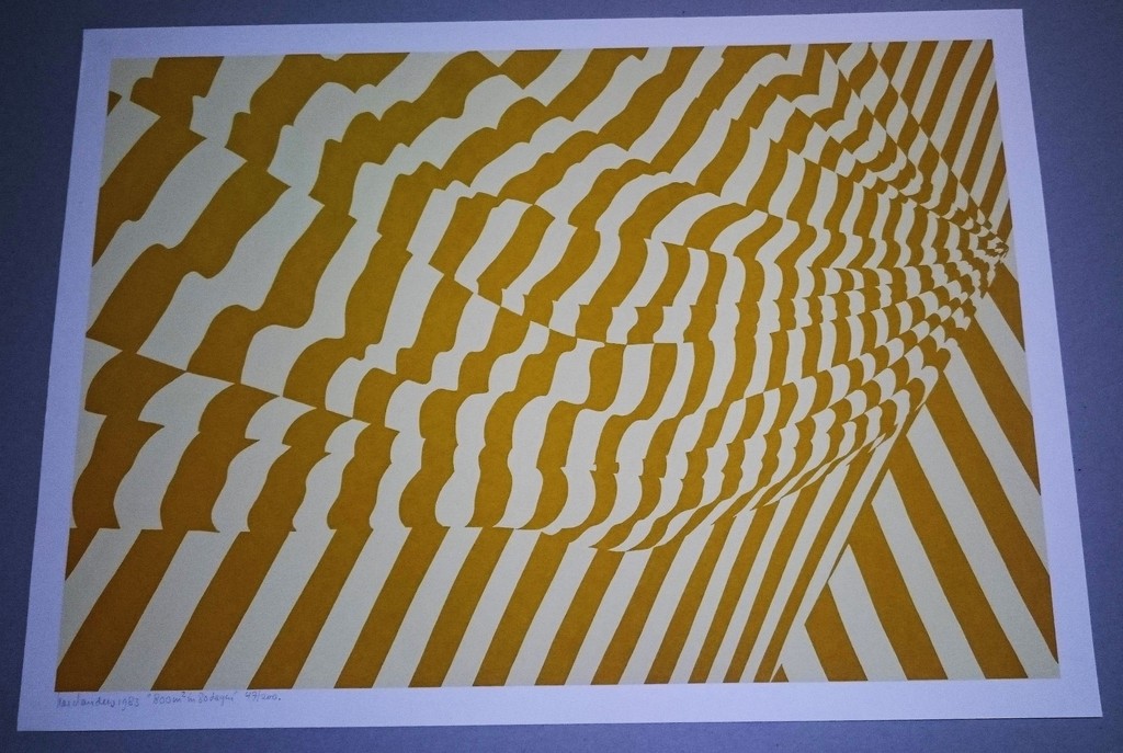 Har Sanders, zeefdruk, 800m2 in 80 dagen kopen? Bied vanaf 50!