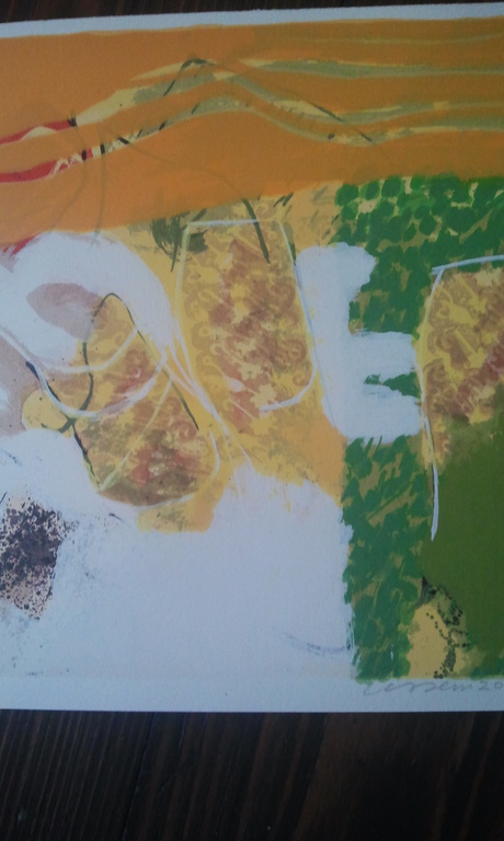 Henk van Vessem Zeefdruk kopen? Bied vanaf 1!