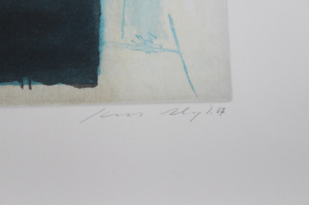 Litho kunstenaar  niet bekend kopen? Bied vanaf 15!