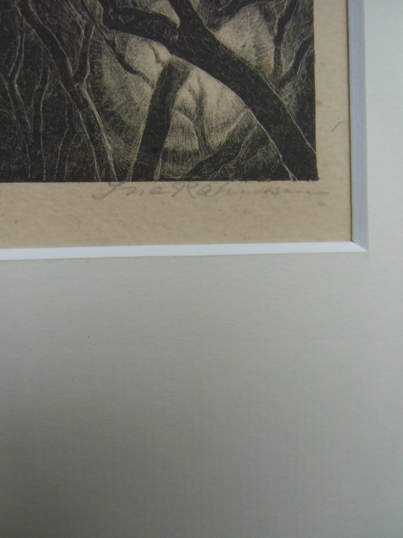 GESTREEPTE DUIFJES   ///   LITHO VAN INA RAHUSEN kopen? Bied vanaf 30!