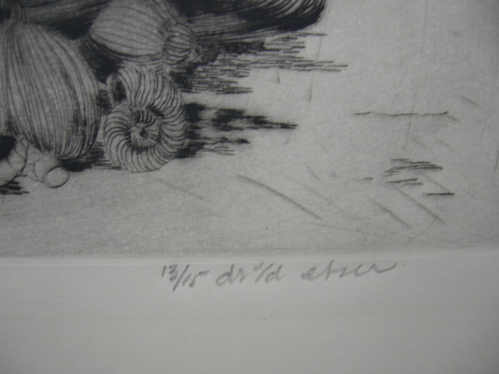 Gerard van Rooy, droge naald: 'Strandstilleven' kopen? Bied vanaf 25!