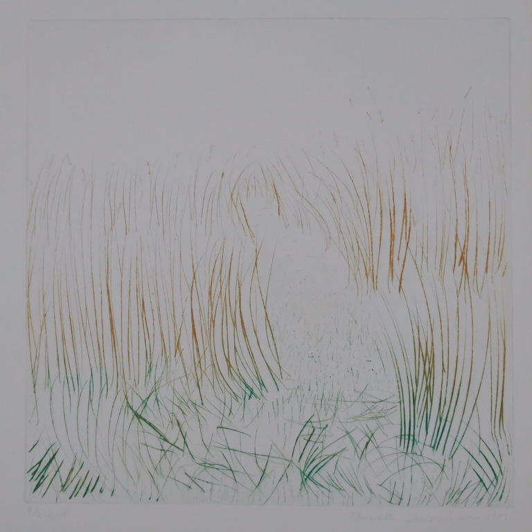 Elsbeth Zimmerman: Ets, Zonder titel kopen? Bied vanaf 5!