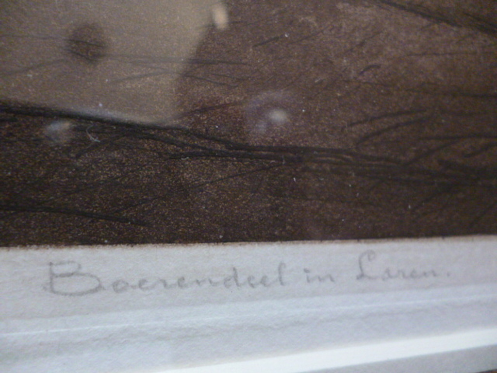 Tjeerd Bottema - kleurenets - Boerendeel in Laren kopen? Bied vanaf 75!