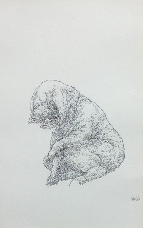 Peter Vos, Varkentje verkocht voor € 120!