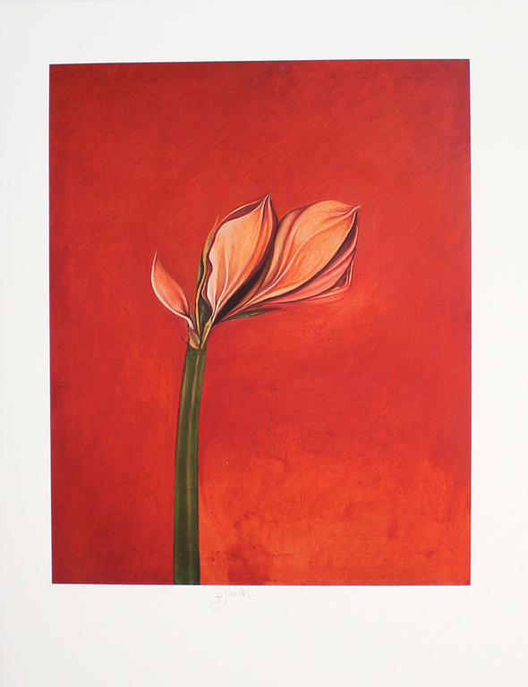 Bruno Bruni -Tutto Rosso- Prachtige Pigmentdruk. Gesigneerd. 2017. kopen? Bied vanaf 57!