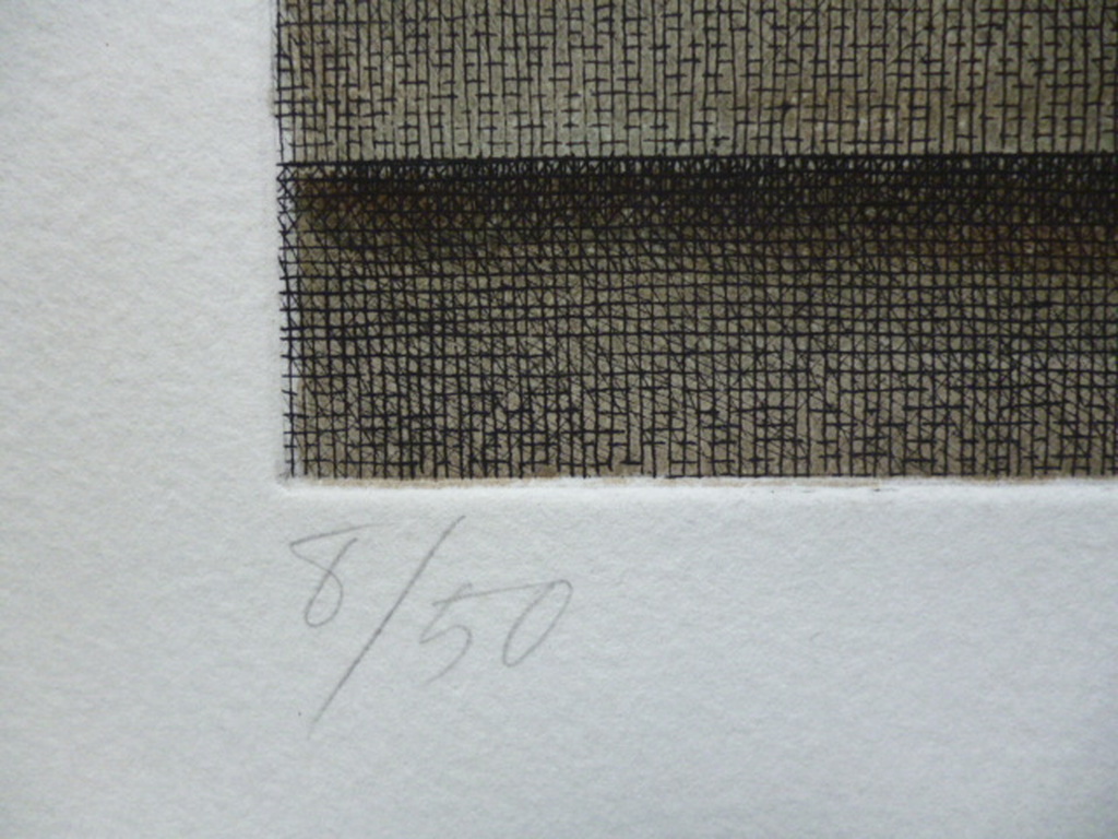 Jean Paul Vroom - ets - Twee stukken gesteente kopen? Bied vanaf 30!