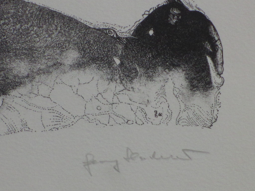 Georg Hadeler, Droom, Litho kopen? Bied vanaf 30!