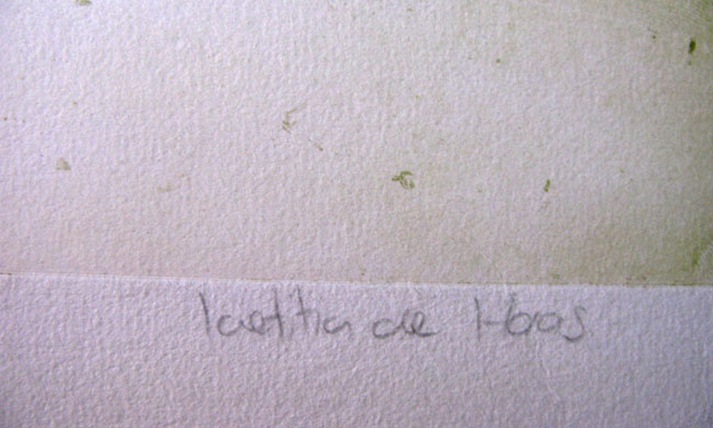 Laetitia de Haas - WINTER - kleurets kopen? Bied vanaf 1!