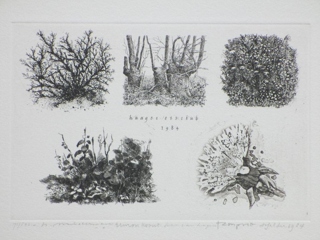Dirk van Gelder, Natuurblad Haagse Etsclub, Ets verkocht voor € 45!