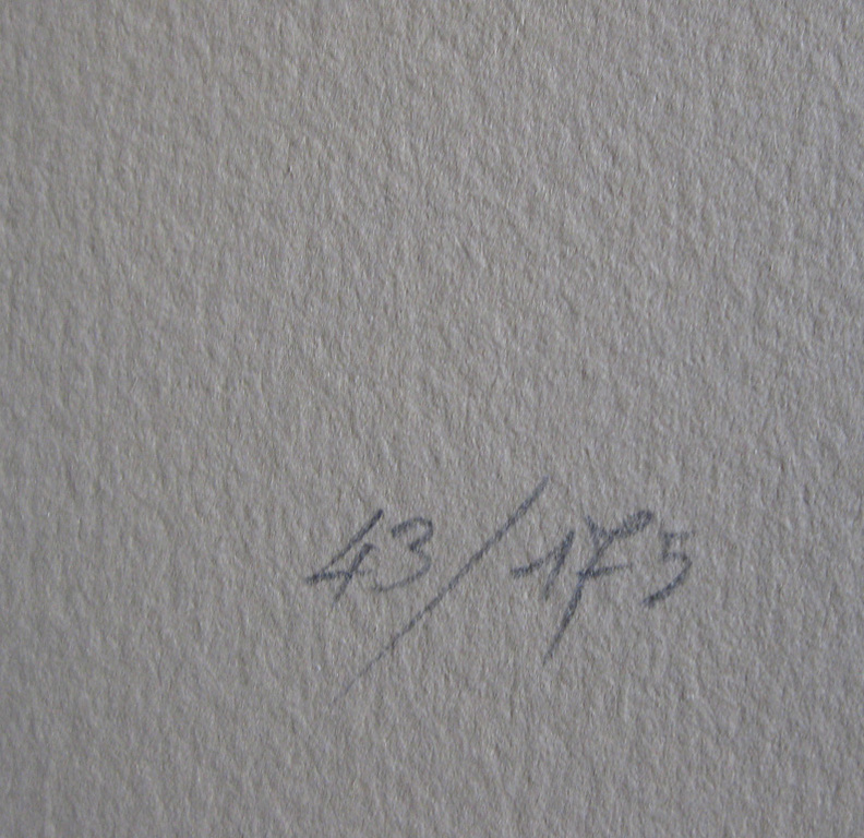 Frédéric Vidalens - " Masche à coudre " - Kleuren litho - Handgesigneerd kopen? Bied vanaf 62!