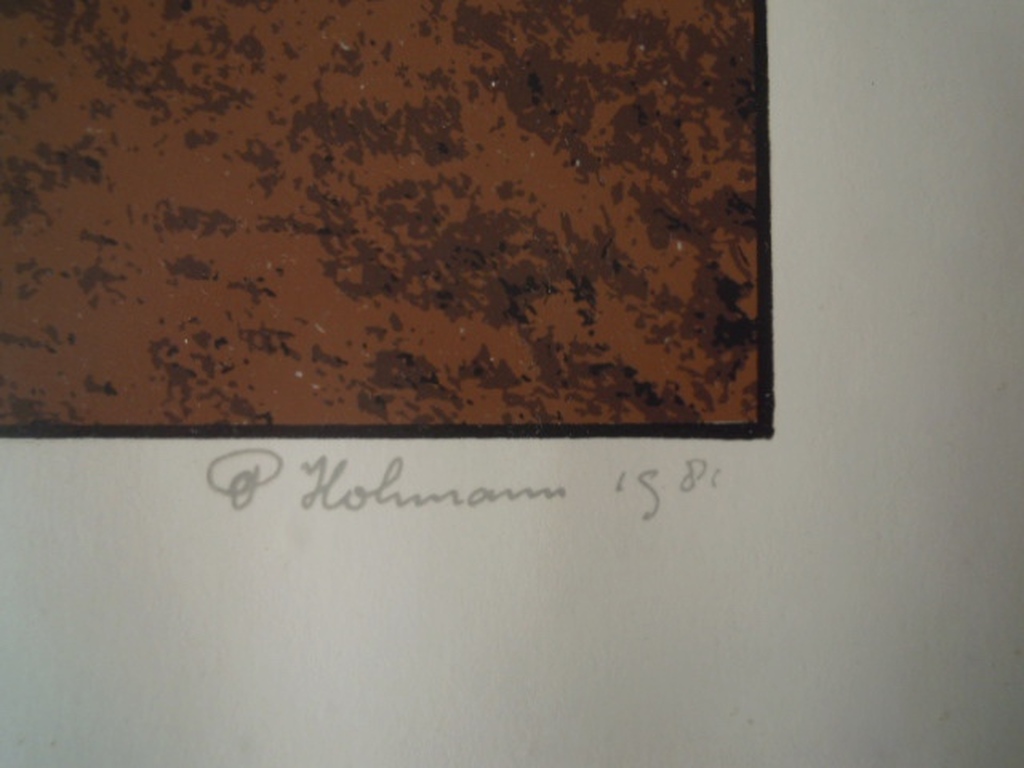 2 LITHO'S PIET HOHMANN 44 X 36 CM -gesigneerd   kopen? Bied vanaf 15!