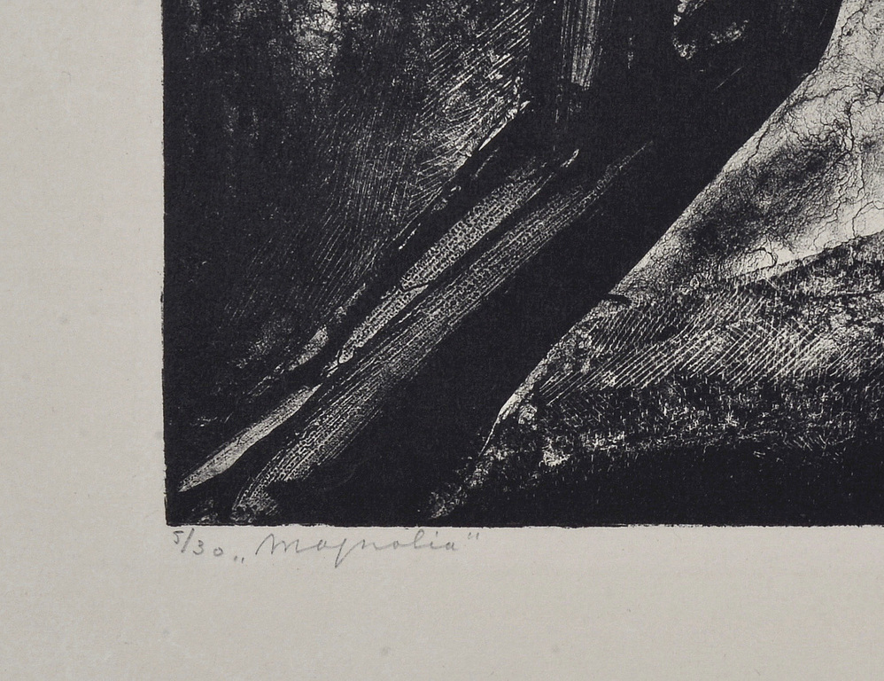 Aart van Dobbenburgh: Litho - Magnolia – 1926 kopen? Bied vanaf 25!