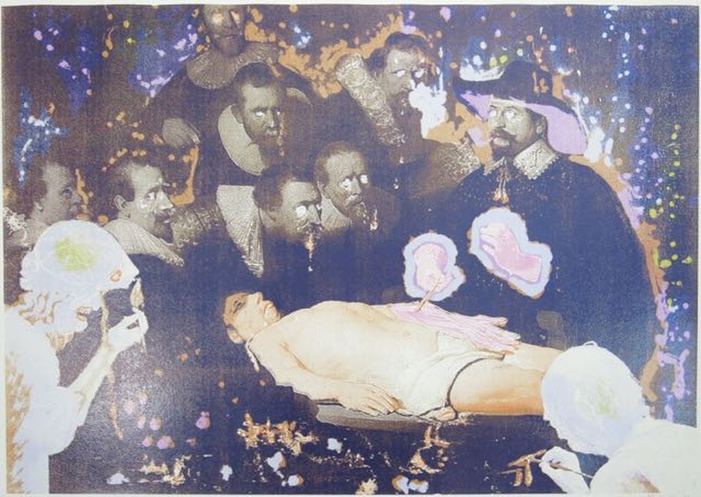 Rob Birza: Zeefdruk, De anatomie les kopen? Bied vanaf 60!