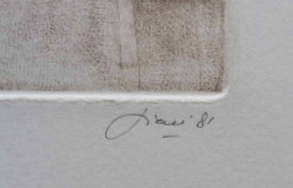 Rob Figee (1937) - “Vogelspin” - 1981 - handgesigneerde koperets in passepartout kopen? Bied vanaf 1!