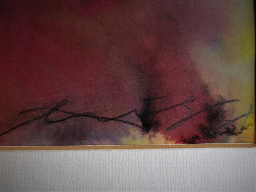 Uniek 1981 gesigneerd Walasse Ting Aquarel "Flowers"  (Sam Middleton collectie) kopen? Bied vanaf 850!