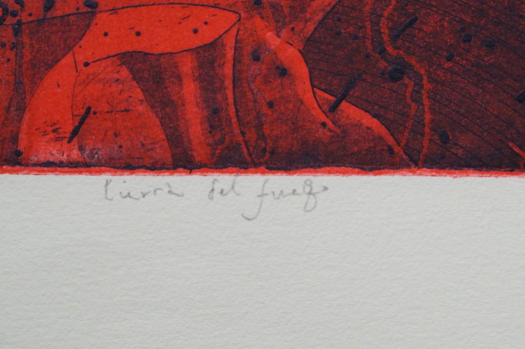 Mark Visione - gesigneerde ets - tierra del fuego kopen? Bied vanaf 25!