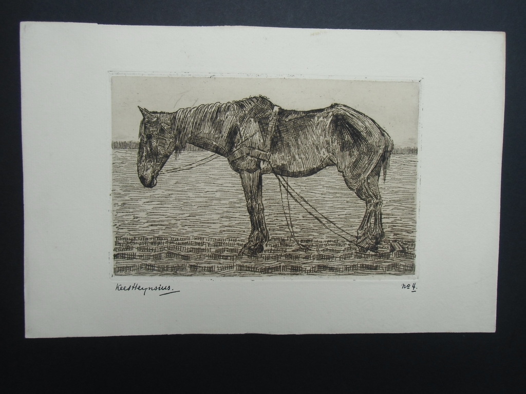 STAAND TREKPAARD  ///  ETS VAN KEES HEYNSIUS kopen? Bied vanaf 25!