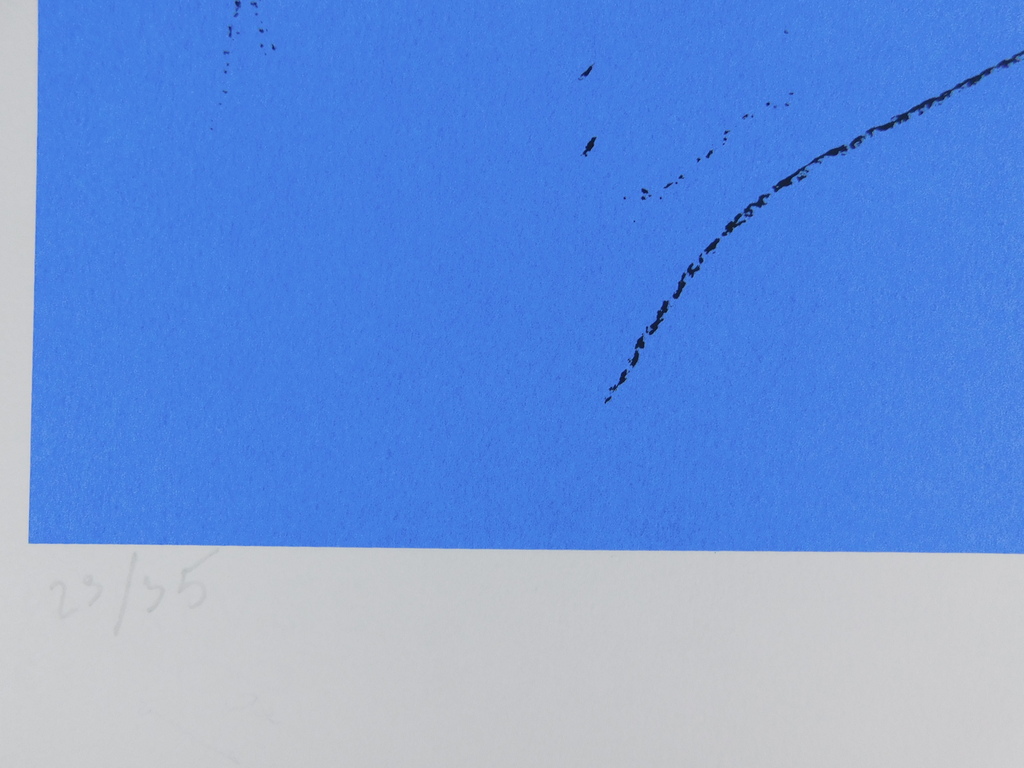 Dees de Bruyne - kleurenlitho - Femme Bleu kopen? Bied vanaf 85!