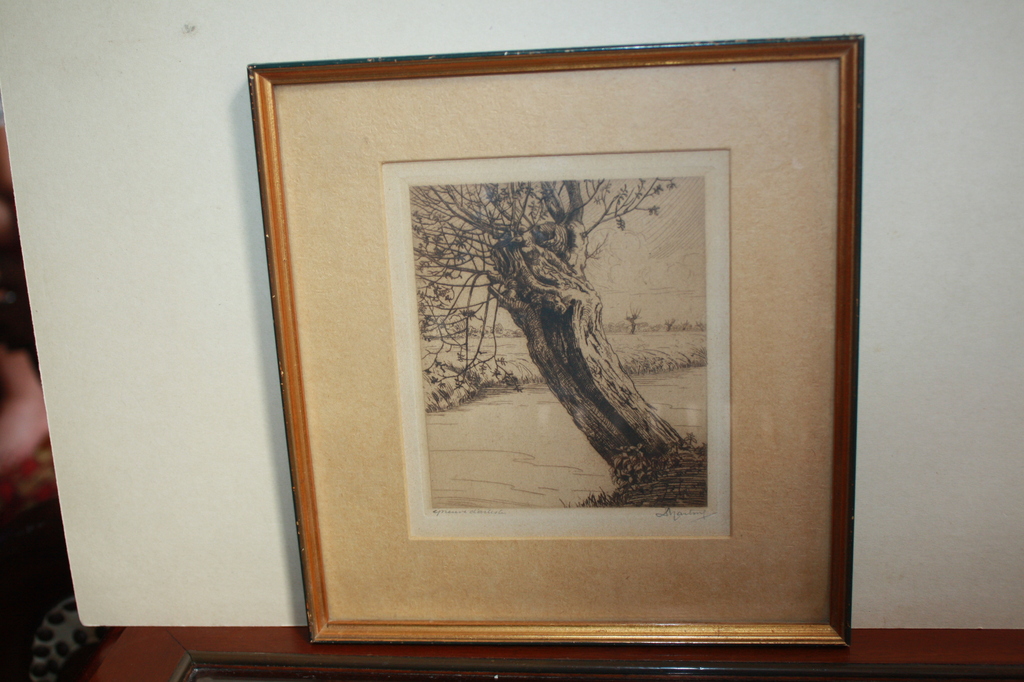 Dirk HARTING ets KNOTWILG aan een slootje kopen? Bied vanaf 1!