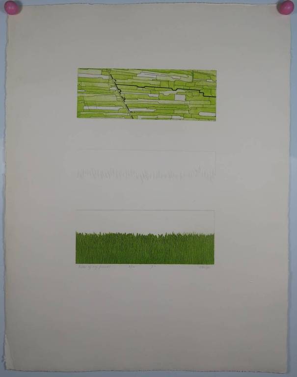 Martijn Ruiter: Ets en aquatint en reliefdruk, Polder of my friends kopen? Bied vanaf 1!