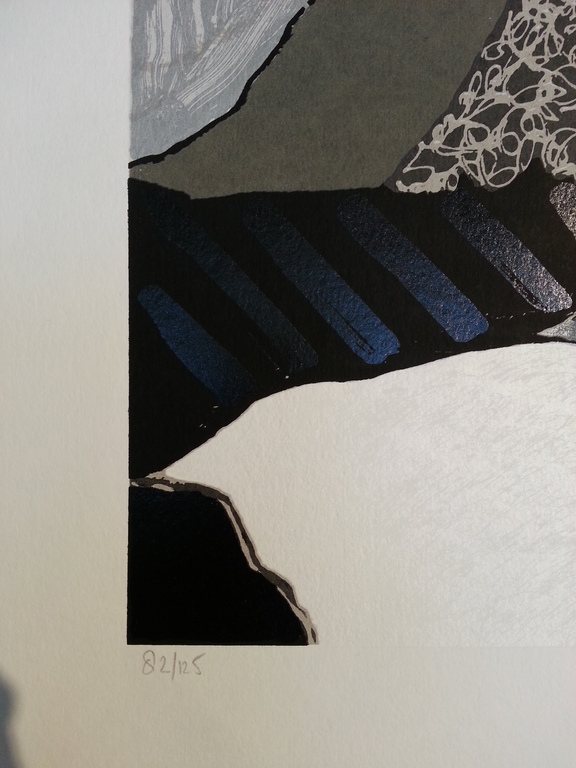 Ronald Boonacker, zeefdruk op papier, Titel: "Night Sky III" kopen? Bied vanaf 30!