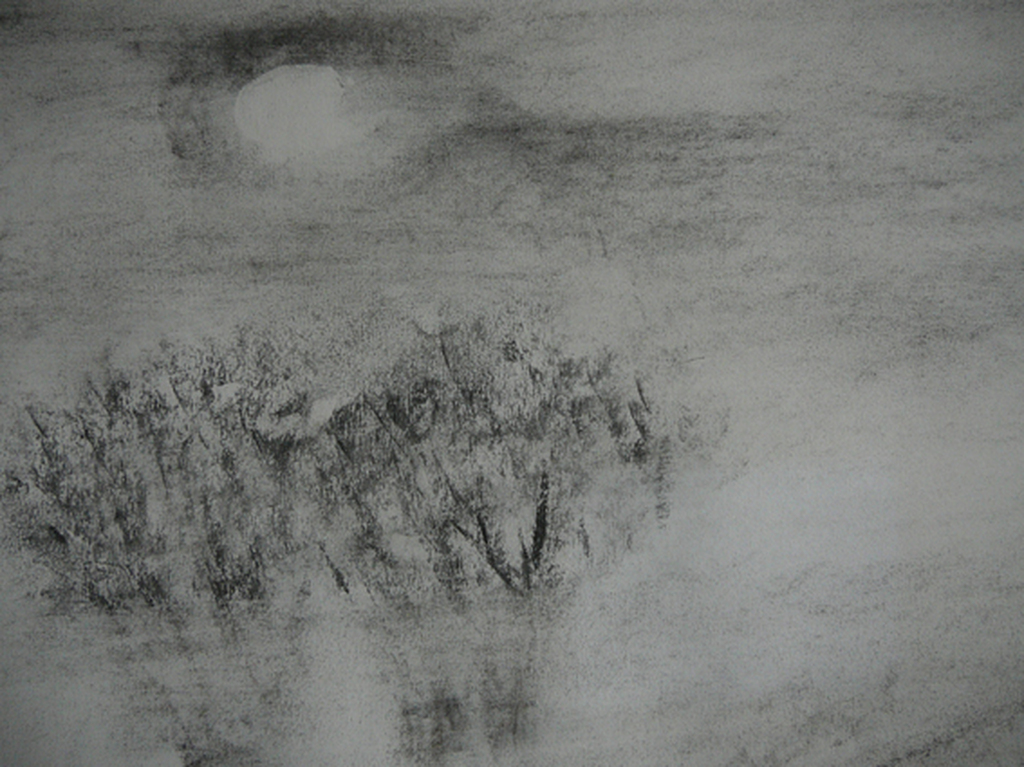 'Nevel over Polderlandschap' -houtskooltekening 1992- kopen? Bied vanaf 39!