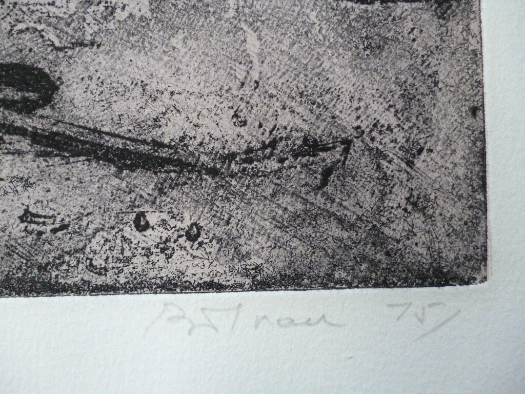 Noir coupant kopen? Bied vanaf 65!