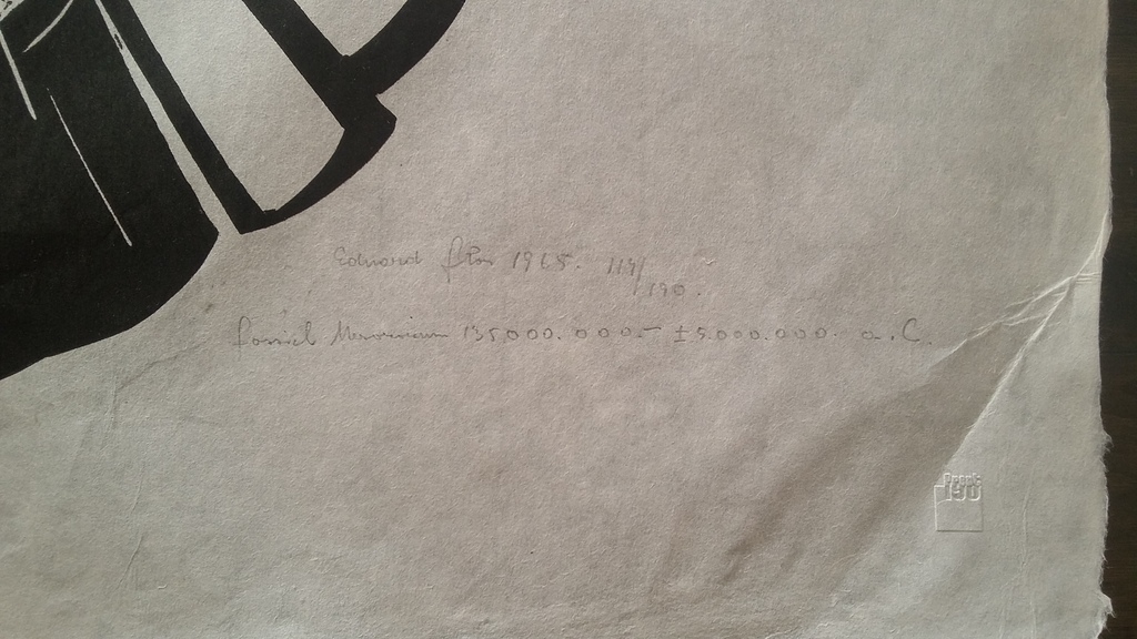 Eduard Flor: Linosnede, Ammoniet, Mesozoicum kopen? Bied vanaf 1!