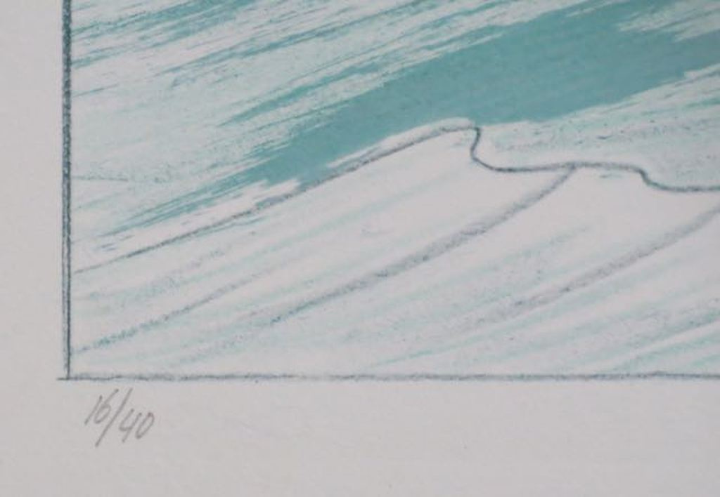 Jeroen Henneman: Litho, Huis in zee kopen? Bied vanaf 20!