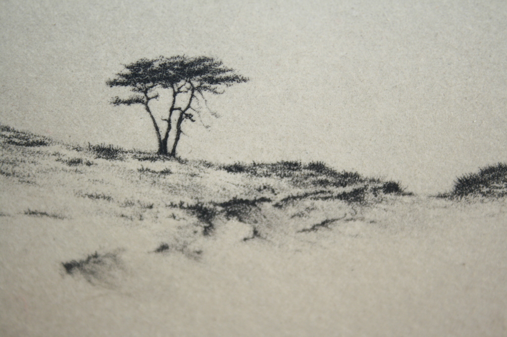 Dirk Harting - DUINLANDSCHAP met DUIN BOOM kopen? Bied vanaf 20!