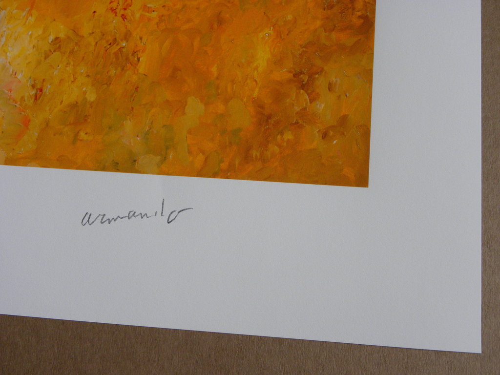 Armando - Landschaft - Gesigneerde multiple - 2016 kopen? Bied vanaf 139!
